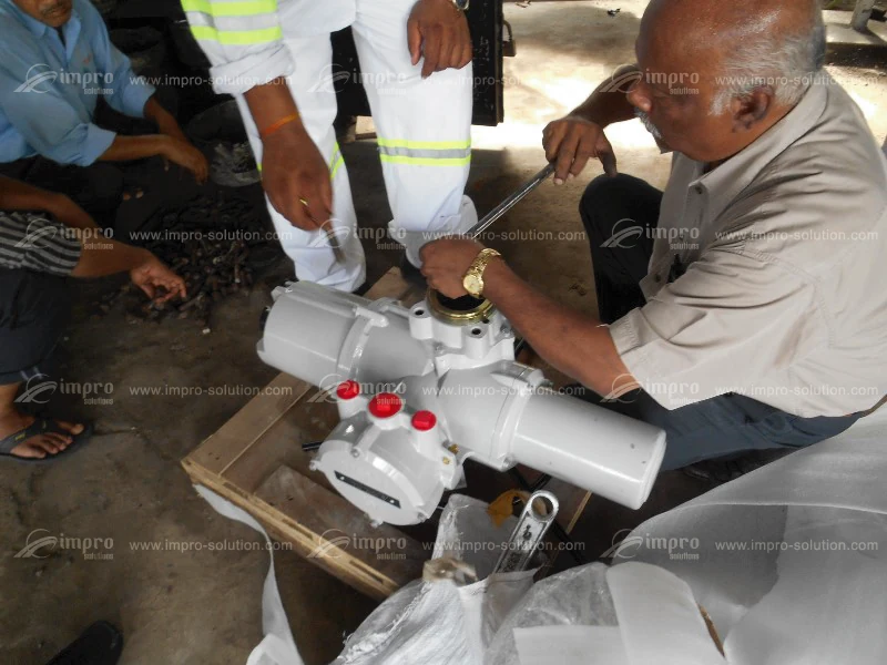 Rotork field-side installation support