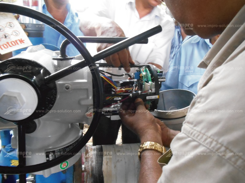 Valve automation, actuator supply, and installation support